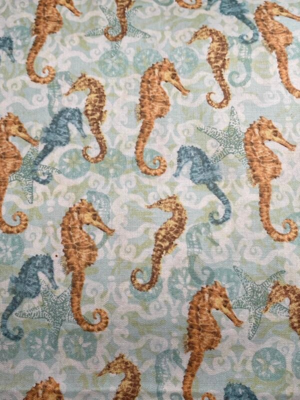 Seahorses 2