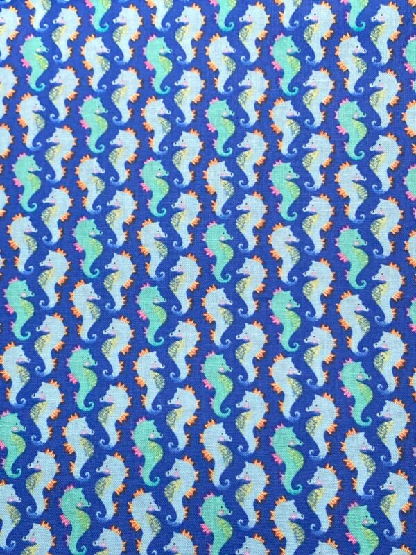 Seahorses 3