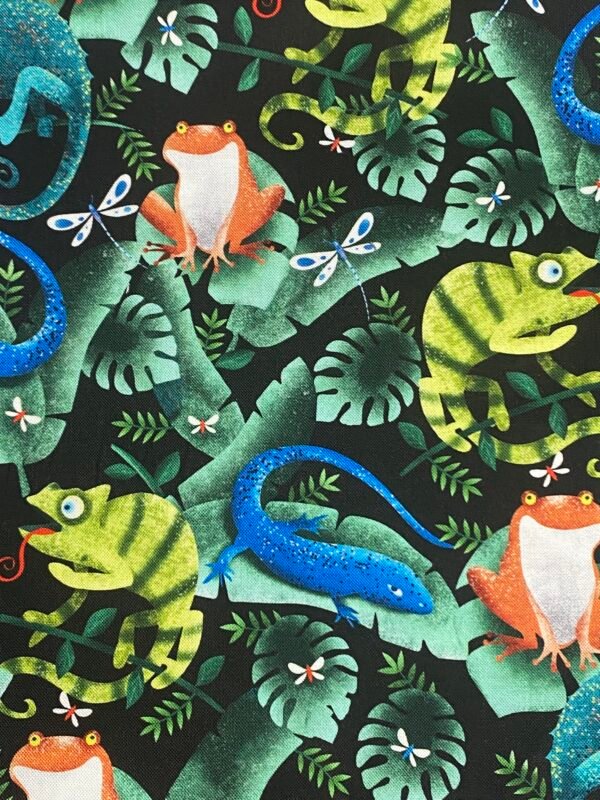 Rainforest friends