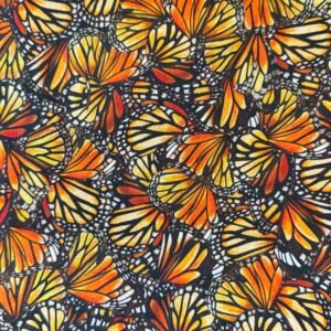 Butterflies 1
